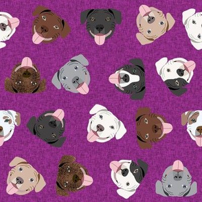pitbulls tossed fabric - pitbull head fabric - purple