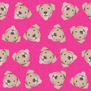 fawn pitbulls fabric - happy pitbull fabric - magenta
