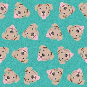 fawn pitbulls fabric - happy pitbull fabric - teal