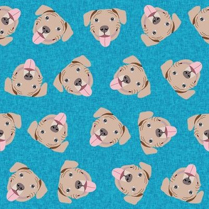 fawn pitbulls fabric - happy pitbull fabric - turquoise