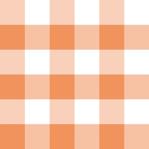 Country persimmon big plaid
