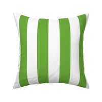 Country green medium stripe