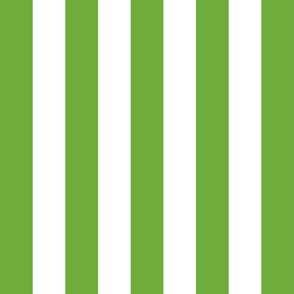 Country green medium stripe