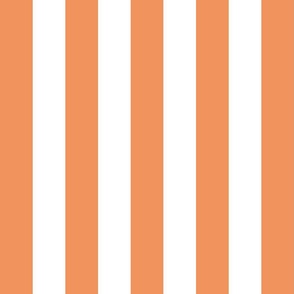 Country persimmon medium stripe
