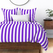 Country violet medium stripe