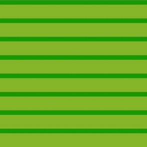 lime + green mega stripe