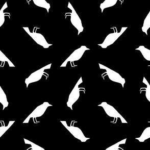 Vintage Birds Pattern with Black Background