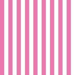 Country rose small stripe