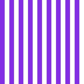 Country violet small stripe