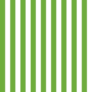 Country green small stripe