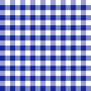 Country navy small plaid