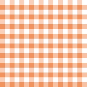 Country persimmon small plaid