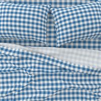 Country blue small plaid