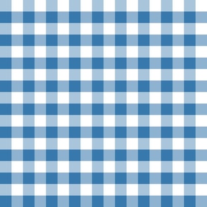 Country blue small plaid