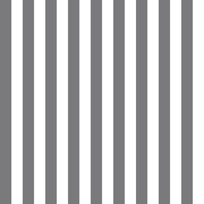 Country gray small stripe