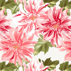 Pink dahlia flower 