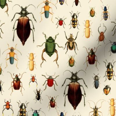 8"  Vintage Beetles and Bugs on beige cream