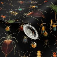 12" Vintage Beetles and Bugs on Black 