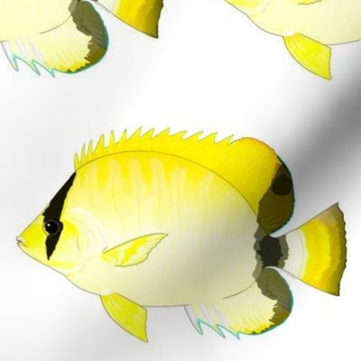 Reef ButterflyFish