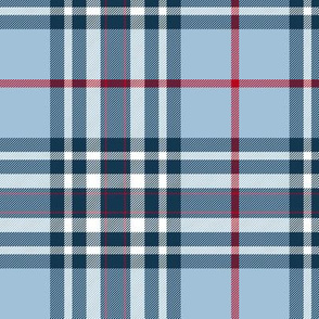 Southdown tartan - 6" custom light blue / navy