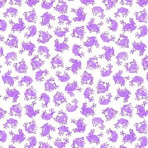 Small purple-violet frogs