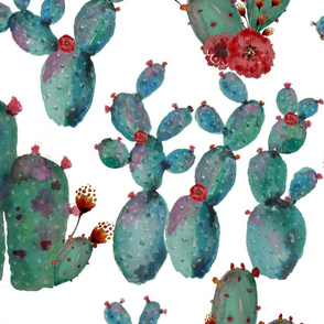 Prickly Pear Rumba – Green/ Red Flowers  on White 
