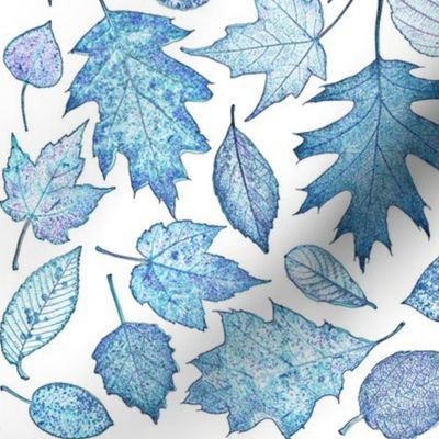 leaf etchings - blue on white