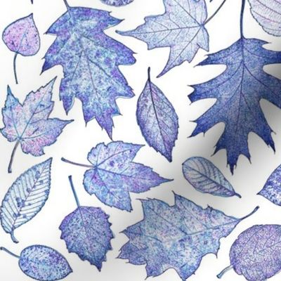 leaf etchings - blue-violet on white