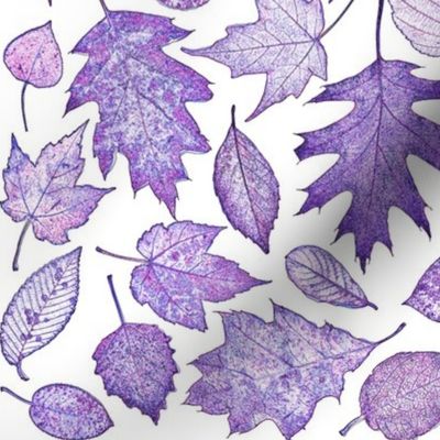 leaf etchings in purple on white