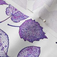 leaf etchings in purple on white