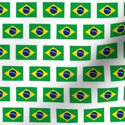 Brazilian Flag // Extra Small