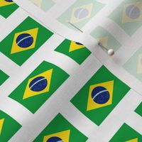 Brazilian Flag // Extra Small
