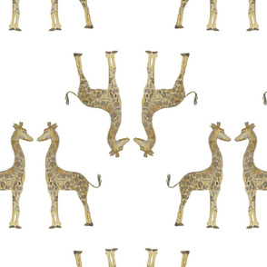 storybook giraffe on white 