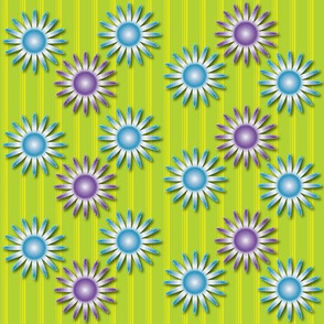 Dazzling Daisies