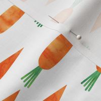 carrots (90) C20BS