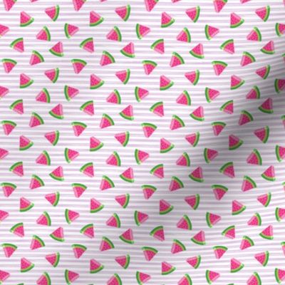 (micro scale) watermelons (purple stripes)- summer fruit fabric - C20BS