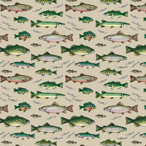 Go Fish on khaki background