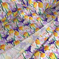 Paper Crocuses