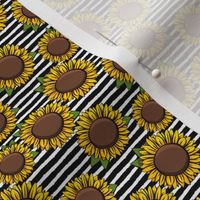 (1" scale) Sunflowers - black stripes C20BS