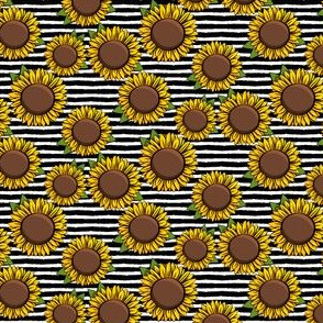 (1" scale) Sunflowers - black stripes C20BS