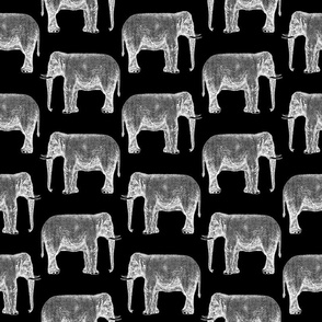 Elephant Print Fabric, Wallpaper and Home Decor | Spoonflower