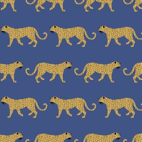 Leopards Blue