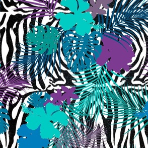 Tropical zebra