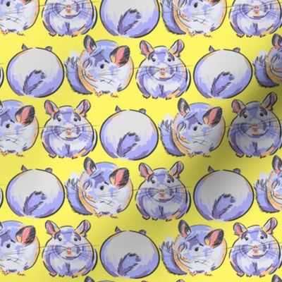 CHINCHILLAS ON YELLOW