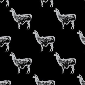Llama llama in black and white