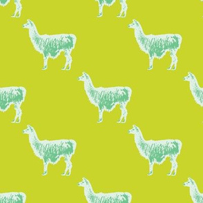 Llama llama in lime and green