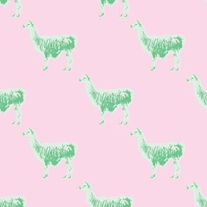 Llama llama in pink and lime