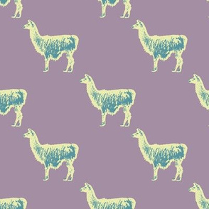 Llama llama in purple, lemon and teal