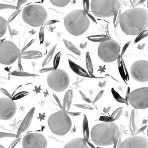 Grey tangerine bloom - watercolor black and white citrus fruits