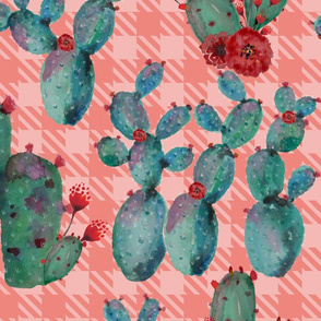 Prickly Pear Rumba – Red Flowers on Coral Buffalo 
